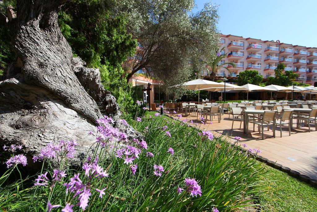 Viva Sunrise Aparthotel Port de Alcudia (Mallorca)